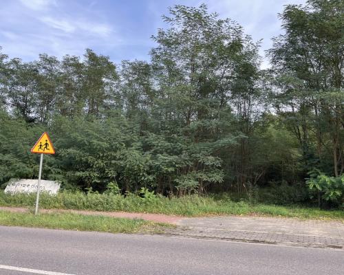 Wola Chodkowska gm. Kozienice - działka budowlana.