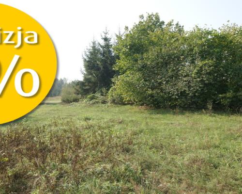 Działka 16 ar w miejsc. Gołąb pow. Lubartowski