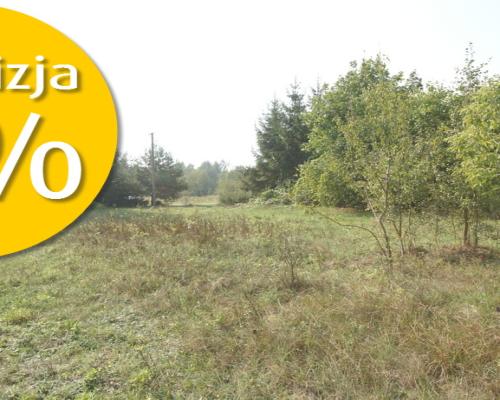 Działka 16 ar w miejsc. Gołąb pow. Lubartowski