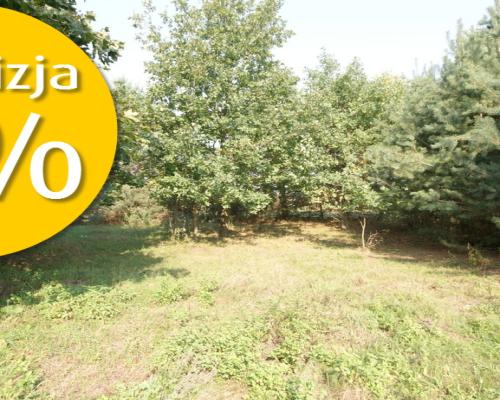 Działka 16 ar w miejsc. Gołąb pow. Lubartowski