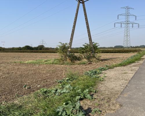 Działka rolno-budowlana 0,62 ha w Gołębiu k/Puław.