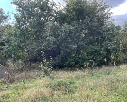 Działka 1441 m2 prze drodze 747 w Lipie Miklas.