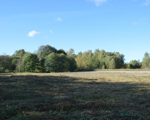 Działka Baranówka 21 a, tylko 76 zł/m2!