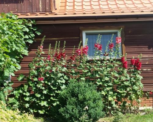 Dom w Nowym Franciszkowie gm. Opole Lubelskie.