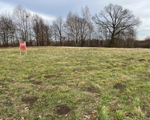 Działka wielofunkcyjna 0.87 ha w Kazimierzu Dolnym