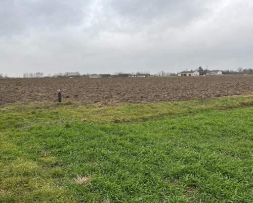 Dziełka z WZ (budowlana) w Babinie gm. Przyłęk.