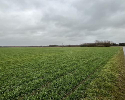 Dziełka z WZ (budowlana) w Babinie gm. Przyłęk.