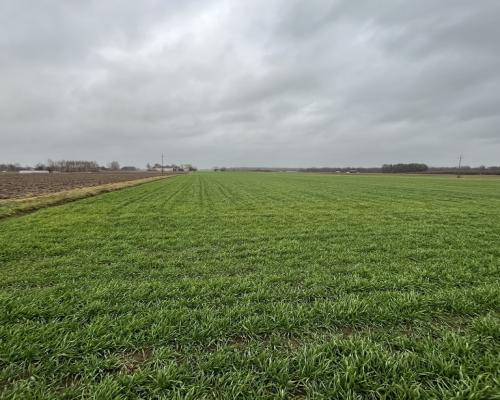 Dziełka z WZ (budowlana) w Babinie gm. Przyłęk.