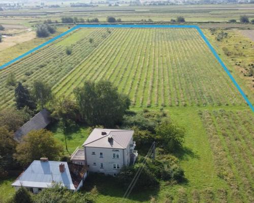 Działka z wykonanym podziałem w Końskowoli