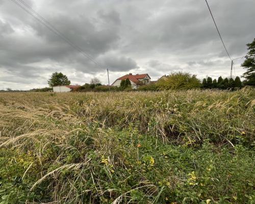 Działka z wykonanym podziałem w Końskowoli