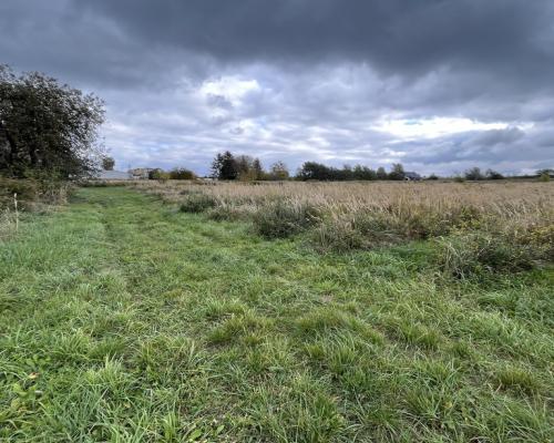 Działka z wykonanym podziałem w Końskowoli