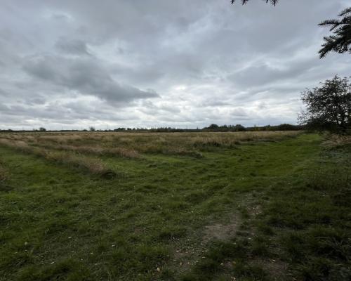 Działka z wykonanym podziałem w Końskowoli