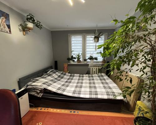 Mieszkanie  55 m2 I piętro Radom ul Sandomierska