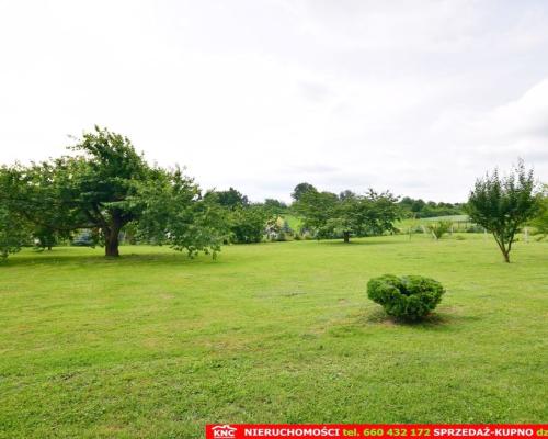 Działka dla inwestora w świetnej lokalizacji.