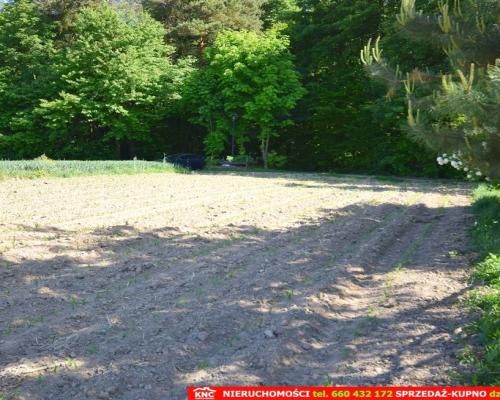 Działka rolno-budowlana bezpośrednio przy lesie.