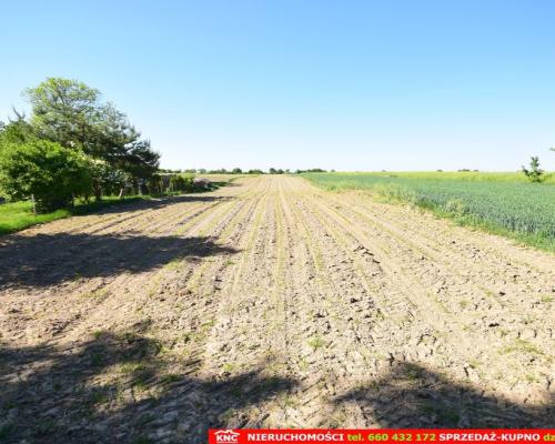 Działka rolno-budowlana bezpośrednio przy lesie.
