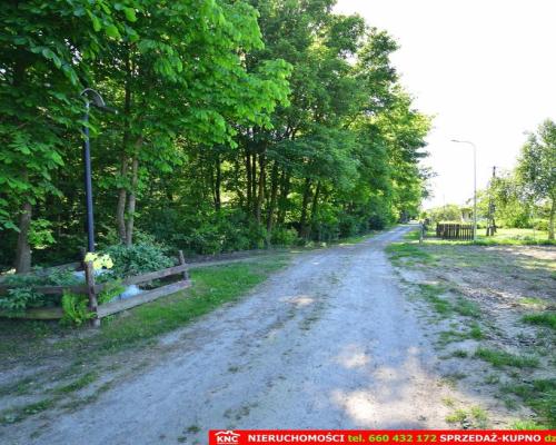 Działka rolno-budowlana bezpośrednio przy lesie.