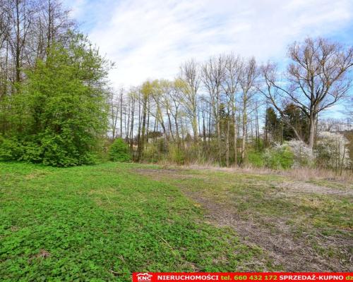 Działka o pow. 3115 m², blisko szkoła, MPK.