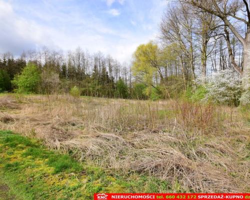 Działka o pow. 3115 m², blisko szkoła, MPK.