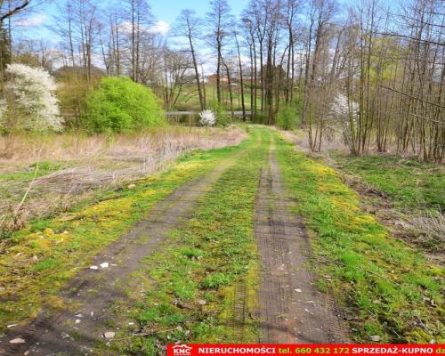 Działka o pow. 3115 m², blisko szkoła, MPK.