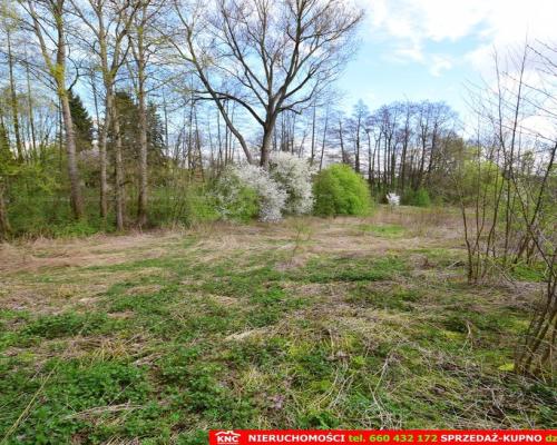 Działka o pow. 3115 m², blisko szkoła, MPK.