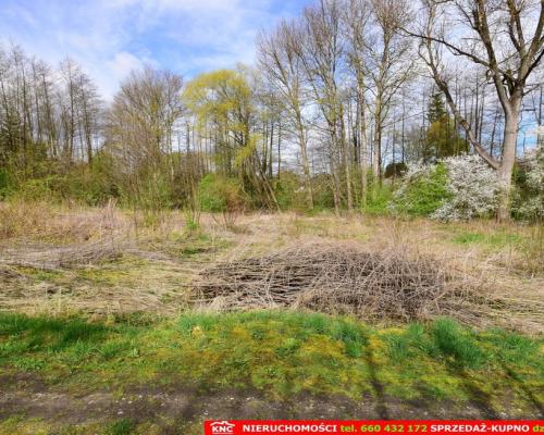 Działka o pow. 3115 m², blisko szkoła, MPK.