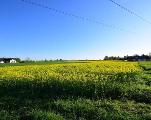 Atrakcyjne działki bud., szybki dojazd do Lublina