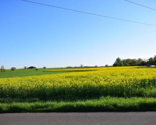 Atrakcyjne działki bud., szybki dojazd do Lublina
