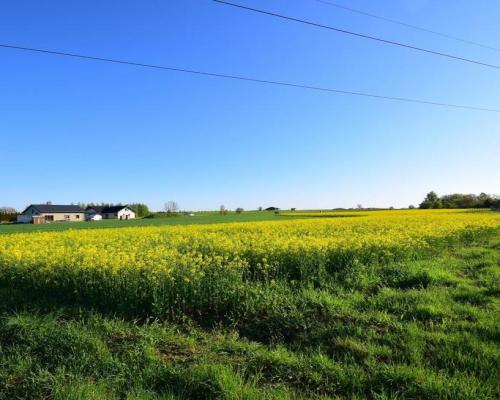Atrakcyjne działki bud., szybki dojazd do Lublina