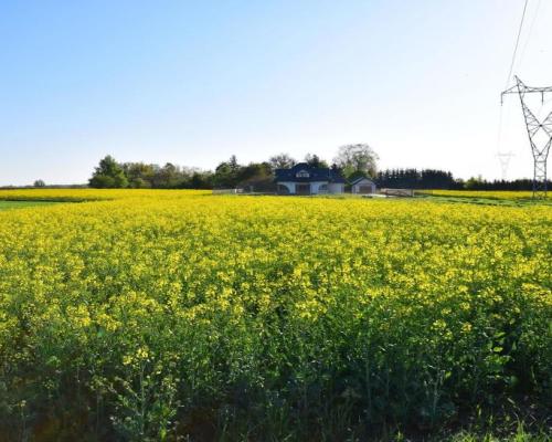 Atrakcyjne działki bud., szybki dojazd do Lublina