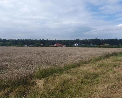 Piękna działka budowlana blisko lasu- 17ar-Świdnik