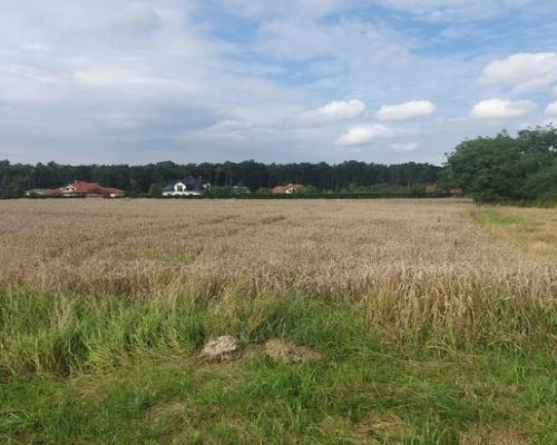 Piękna działka budowlana blisko lasu- 17ar-Świdnik