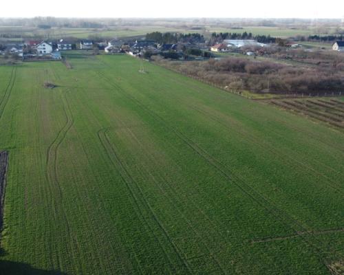 Działka rolno-budowlana 0,62 ha w Gołębiu k/Puław.