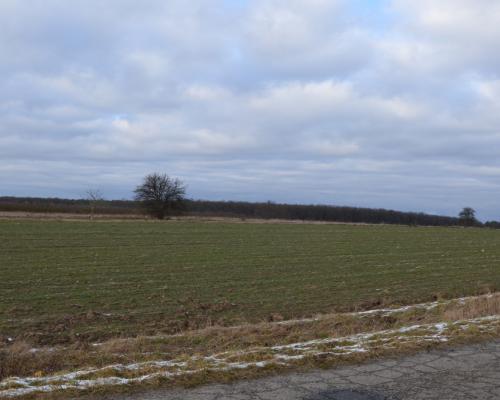 Działka w Wojszynie 30 a