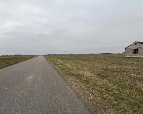 Działka rolno-bud. w Czarnolesie gm. Policzna.