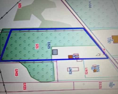 Siedlisko w Tymienicy Nowej gm. Chotcza p/lipski .