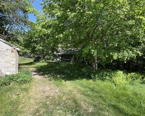 Siedlisko w Tymienicy Nowej gm. Chotcza p/lipski .