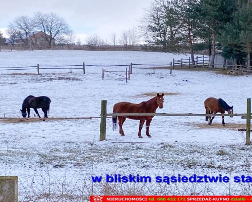 Siedlisko na wsi 35 km od Lublina.