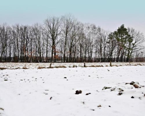 Działka pod Kazimierzem-16ar spokojna okolica!!