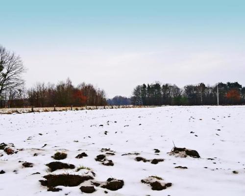 Działka pod Kazimierzem-16ar spokojna okolica!!