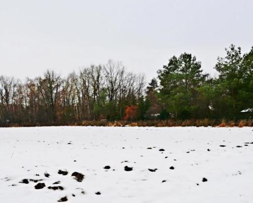 Działka pod Kazimierzem-16ar spokojna okolica!!