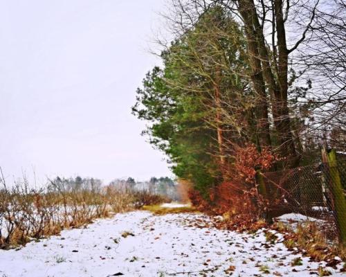 Działka pod Kazimierzem-16ar spokojna okolica!!