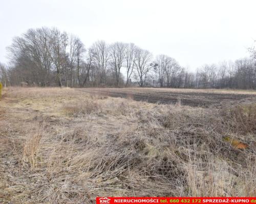 Działka budowlana (WZ) wszystkie media.