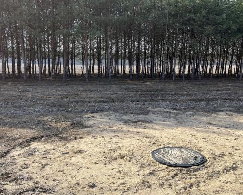 Działka z WZ w Wólce Gonciarskiej gm. Kazanów.