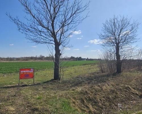 Kock, 76 ar, produkcja, składy, magazyny i mieszk