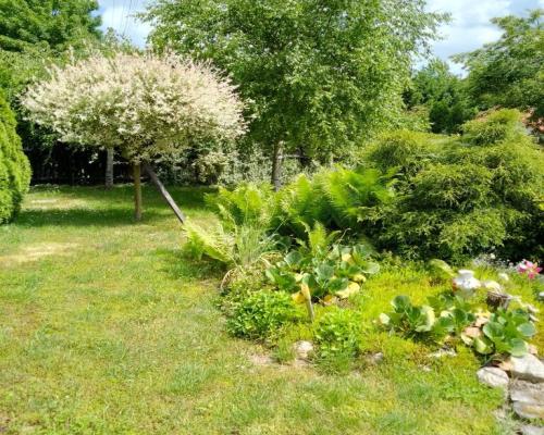 Siedlisko 44 a w Ożarowie gm. Jastków (lubelskie).