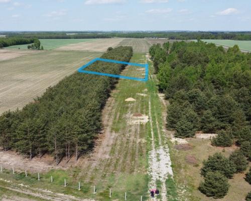 Działka z WZ w Wólce Gonciarskiej gm. Kazanów.