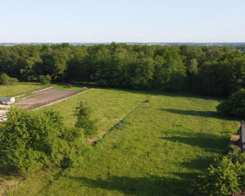Siedlisko w Barłogach gm. Kurów 35 kw. do Lublina.