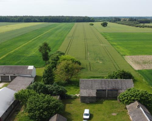 Działka rolna 3 ha w Jasieńcu Soleckim (zwoleński)
