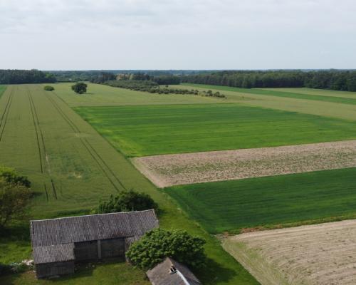 Działka rolna 3 ha w Jasieńcu Soleckim (zwoleński)